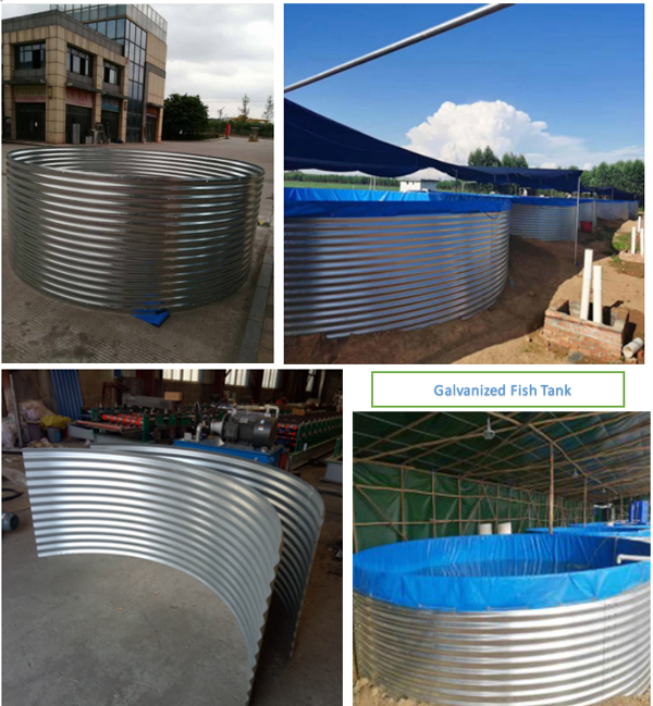 galvanized steel fish tank sheet sidewall roll forming machine